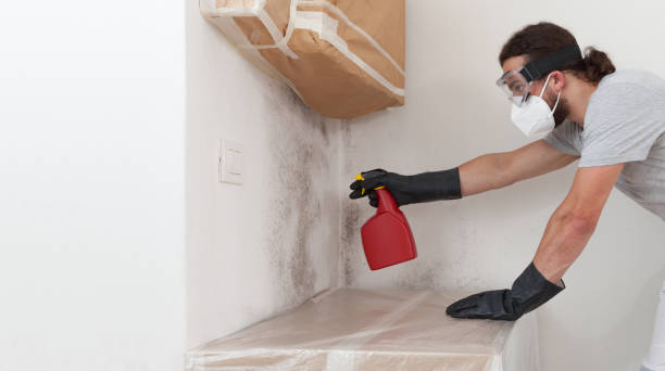 Professional Mold Removal technician working in Massapequa Park, NY